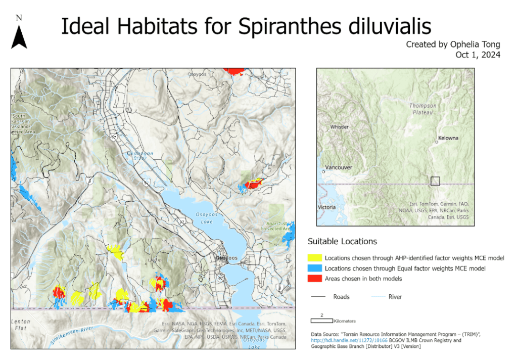 Identifying Ideal Habitats for Spiranthes Diluvialis (TINs, DEM, AHP&nbsp;Analysis)